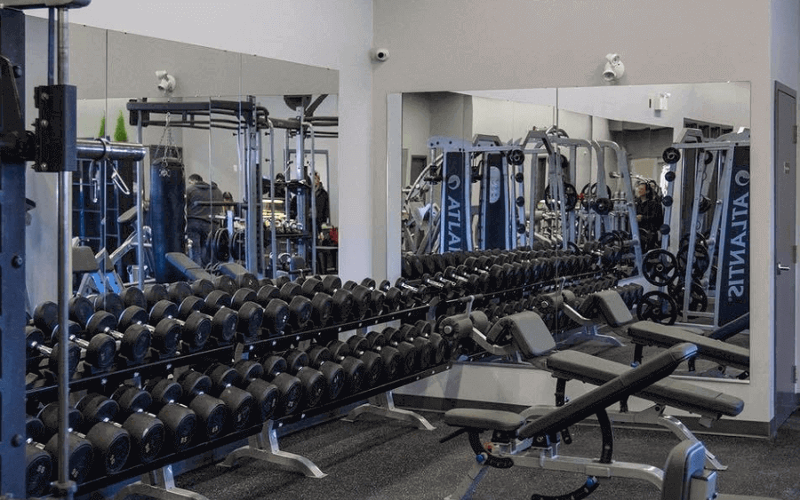 Our gym offers a wide-range of free weights appealing to all gym members. 